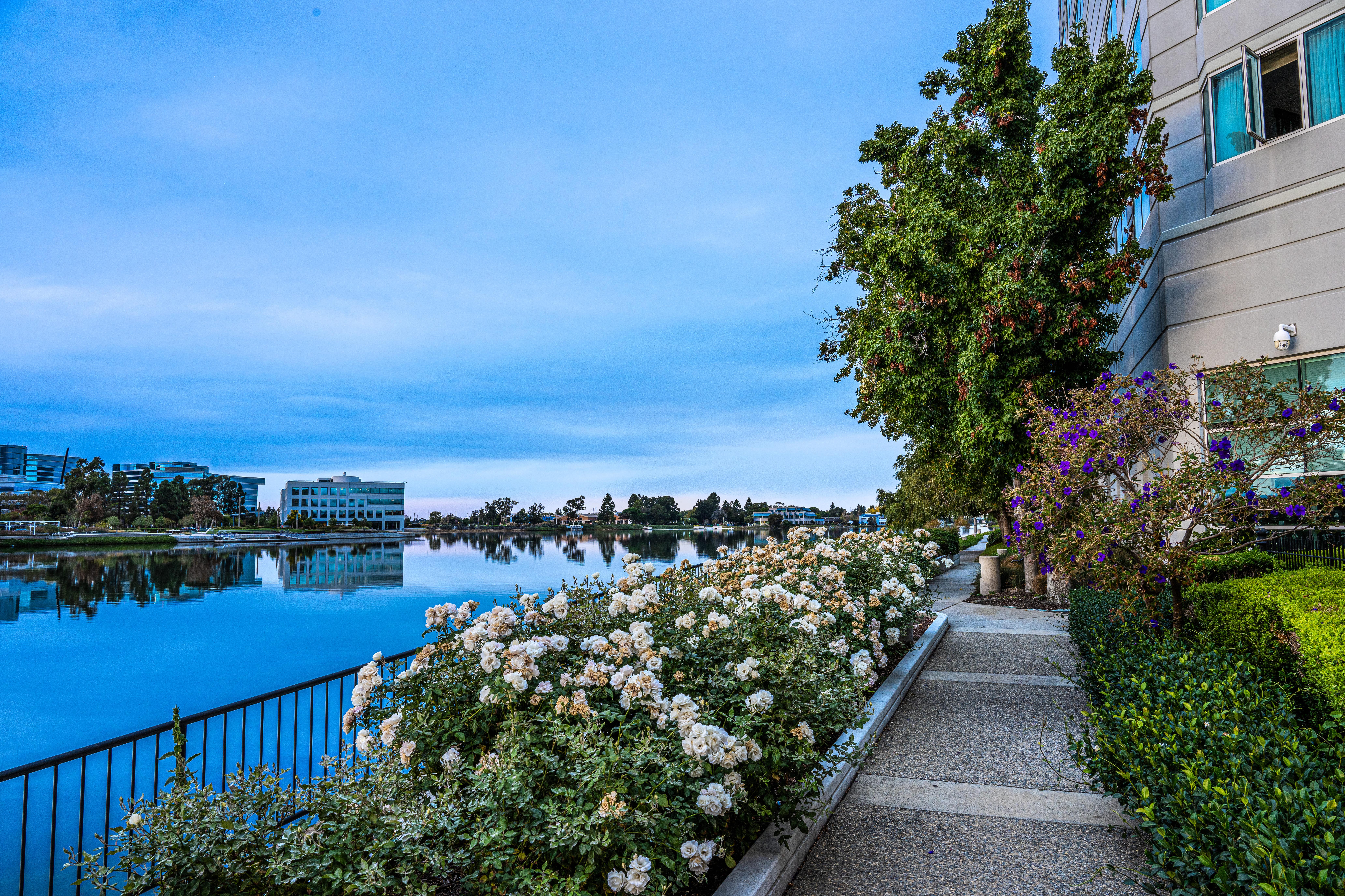 רדווד סיטי Grand Bay Hotel San Francisco מראה חיצוני תמונה